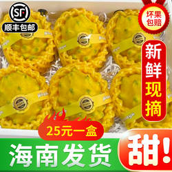 海南三亚燕窝果新鲜水果麒麟果黄金火龙果甜孕妇特大果顺丰礼盒