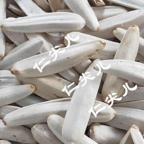 大长颗粒熟原味白牙签罐装葵瓜子