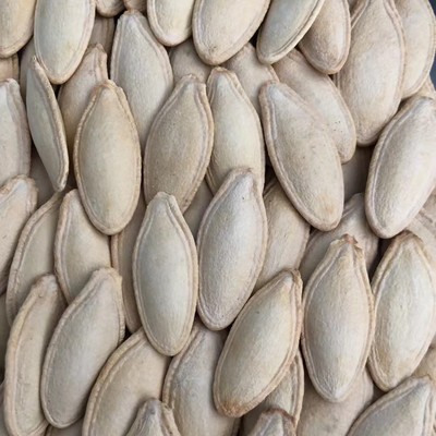 新疆长颗粒生籽熟原味椒盐焗咸味美人甲南瓜子籽1斤500克袋装零食