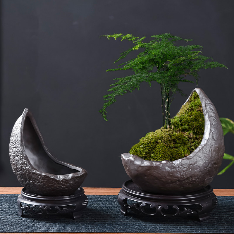 异形月牙盆文竹飘枝六月雪客厅桌面绿植盆景盆创意紫砂花盆带底座