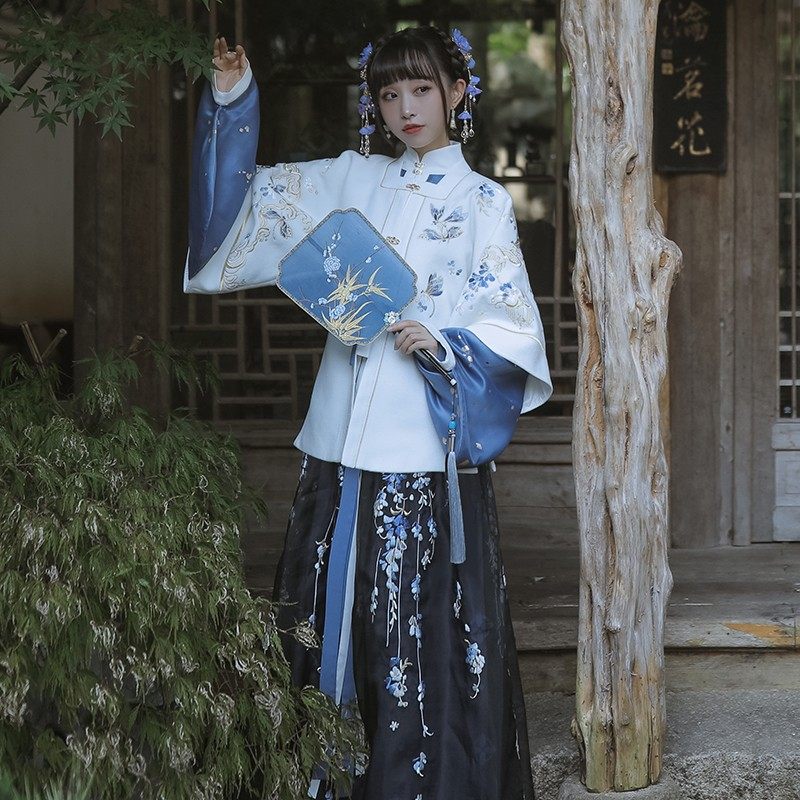 十三余小豆蔻儿[归梦星影]短袄方领半袖刺绣明制汉服女秋冬款仙气