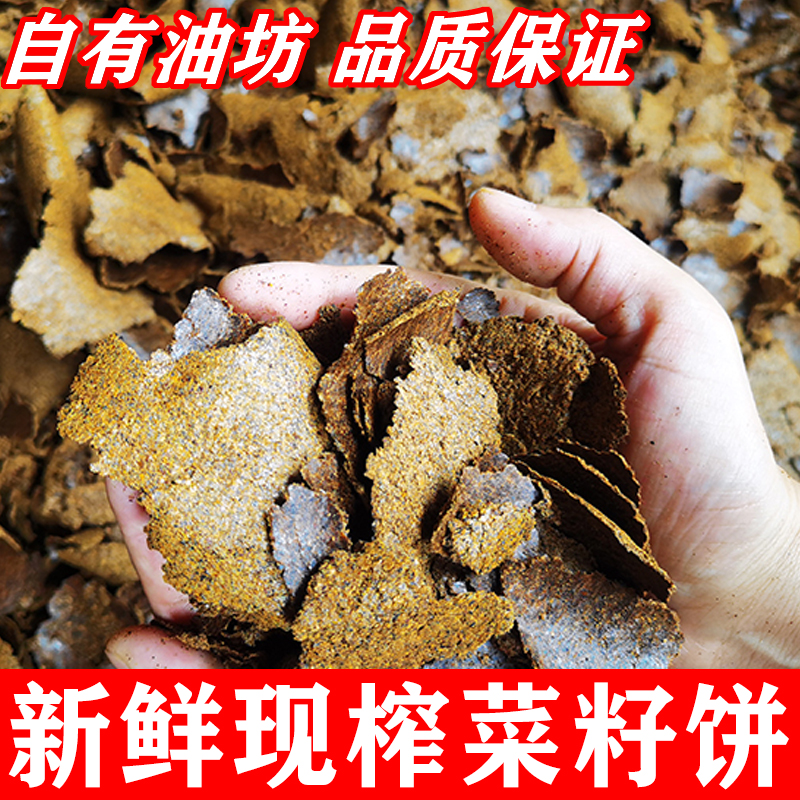 菜籽饼钓鱼打窝种菜饲料果树蔬菜肥料菜枯油枯饼方块黄枯种菜肥料