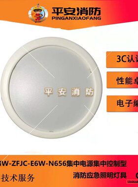海湾消防应急照明灯具HW-ZFJC-E6W-N656吸顶应急照明灯6W吸顶安装