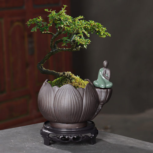 紫砂简约绿植陶瓷小盆带托盘