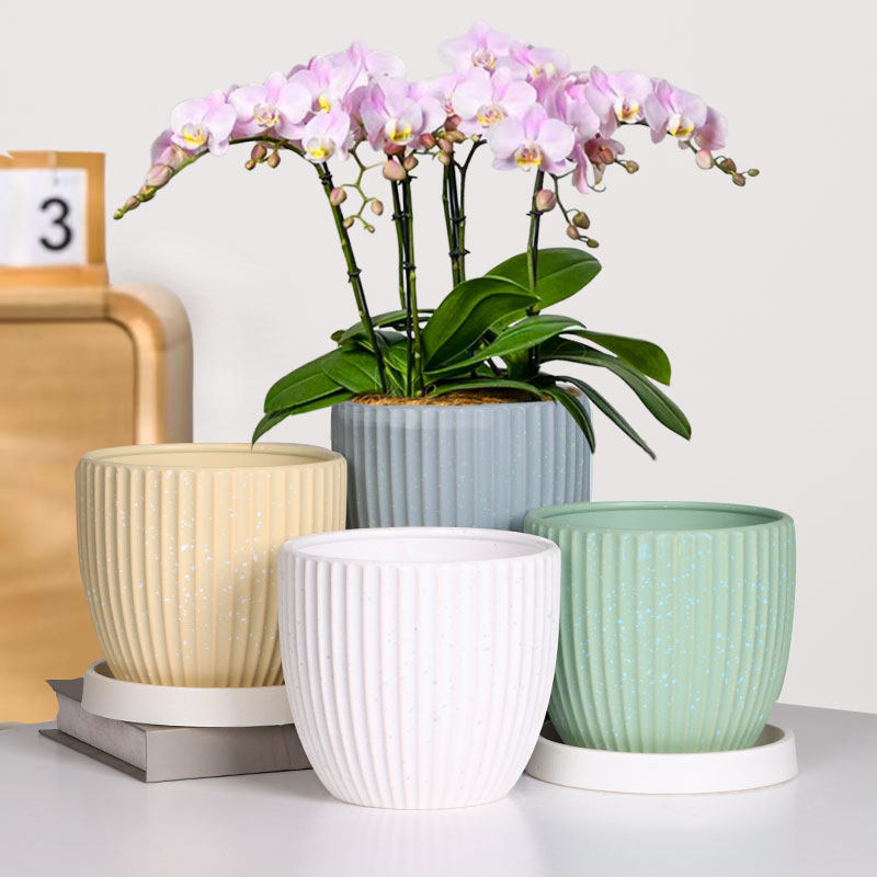 肉肉盆栽盆阳台陶瓷花盆中号铅笔筒耐用花盆家用客厅绿植专用花盆,鲜花速递/花卉仿真/绿植园艺,花盆,淘宝优惠券,粉丝福利购,淘宝优惠卷