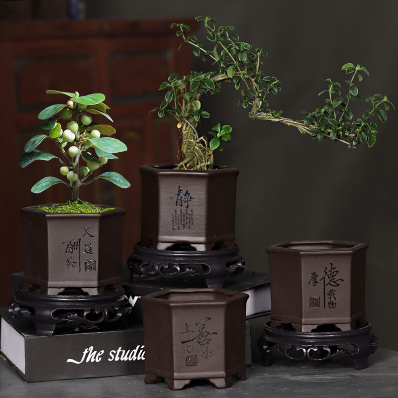 紫砂花盆六方形兰花菖蒲花卉绿植盆栽大号多肉盆景带托盘陶瓷专用