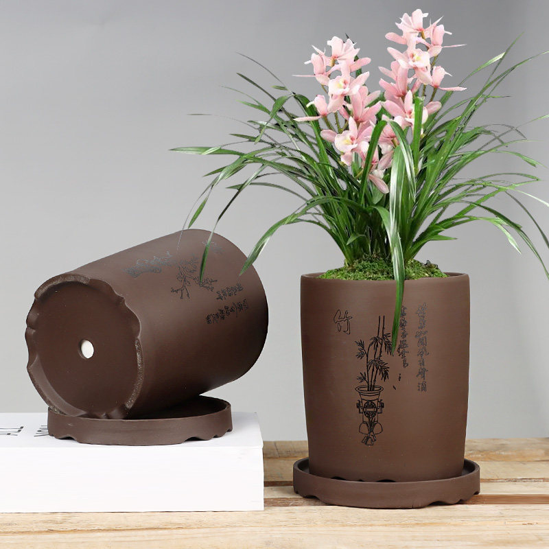 简约吊兰盆紫砂花盆君子兰