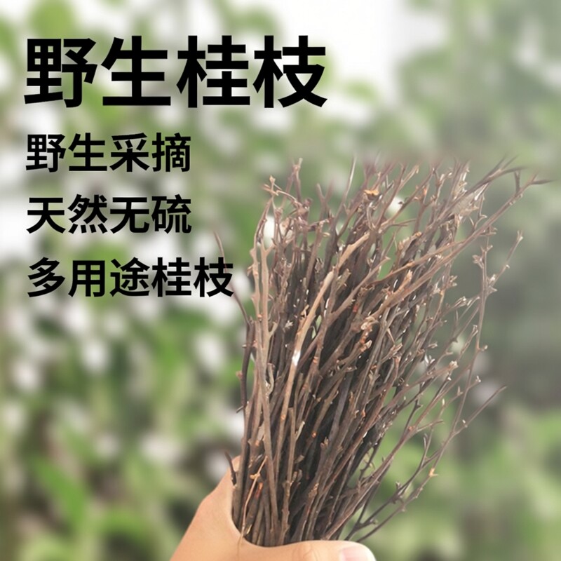 中药桂枝汤无硫细桂枝药材香料野生天然整根桂枝细桂枝条