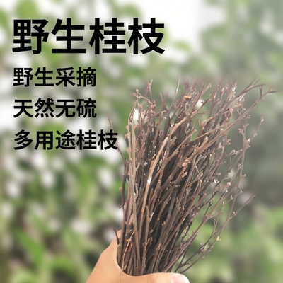 泡脚桂枝汤无硫细桂枝500G条入药药材香料野生天然桂枝细桂枝条