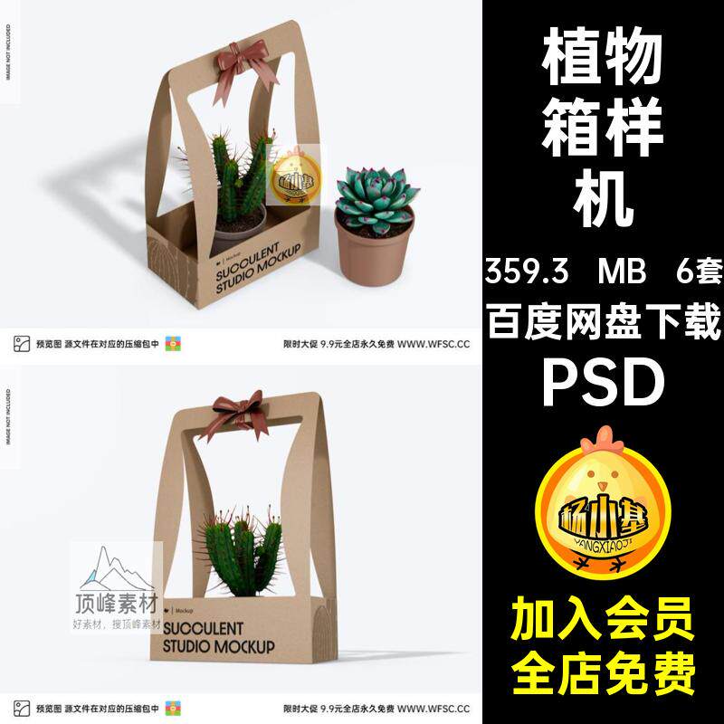 外包装箱样机PSD图片psd效果免6套贴图盆栽纸盒模板拍摄植物植物