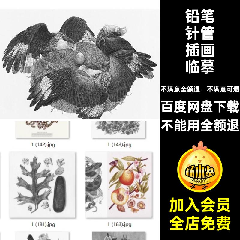 黑白手绘插画临摹动物针管速写素描钢笔画图片素材铅笔笔插画手绘