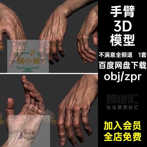 1套手掌3D模型贴图无C4D设计膜胳膊3dzpr手臂白建模zbobj写实素材
