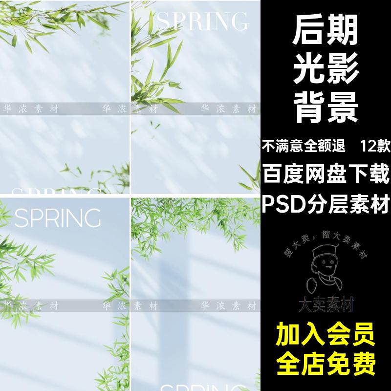 实景竹子光影情侣婚纱照背景影楼后期照片合成PSD模板设计素材图