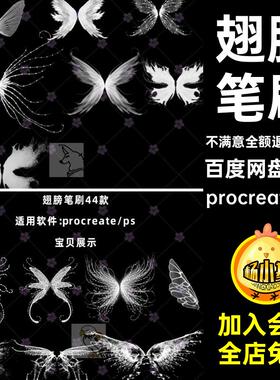procreate笔刷白色梦幻发光仙女精灵翅膀蜻蜓蝴蝶翅膀ps笔刷素材