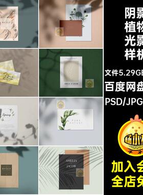 树叶植物光影样机奢图片背景扣免元素影子花卉轻41款阴影PNGPSD