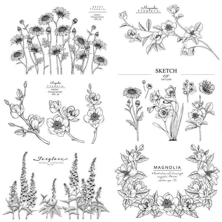 1008手绘素描黑白线描线稿植物花卉朵百合雏菊百合生日婚礼ai素材