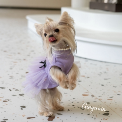 GINGERAIN 小型犬约克夏衣服比熊仙女抗皱拼接网纱蓬蓬蛋糕裙