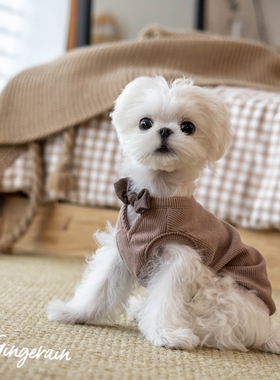 GINGERAIN 宠物狗狗约克夏比熊小型犬纯棉深V蝴蝶结初夏甜美背心
