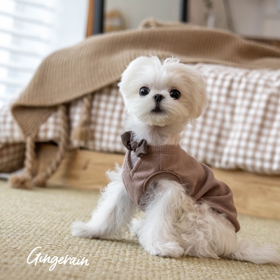 布桃子的梦想小型犬衣服甜美背心