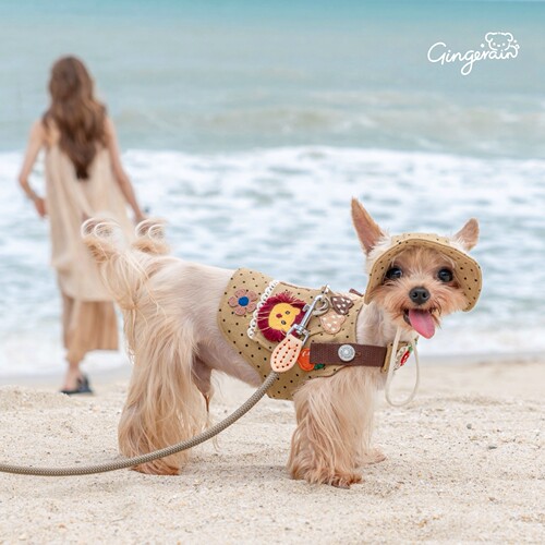 GINGERAIN 户外牛仔胸背带露营约克夏小型犬比熊遛狗可牵引绳
