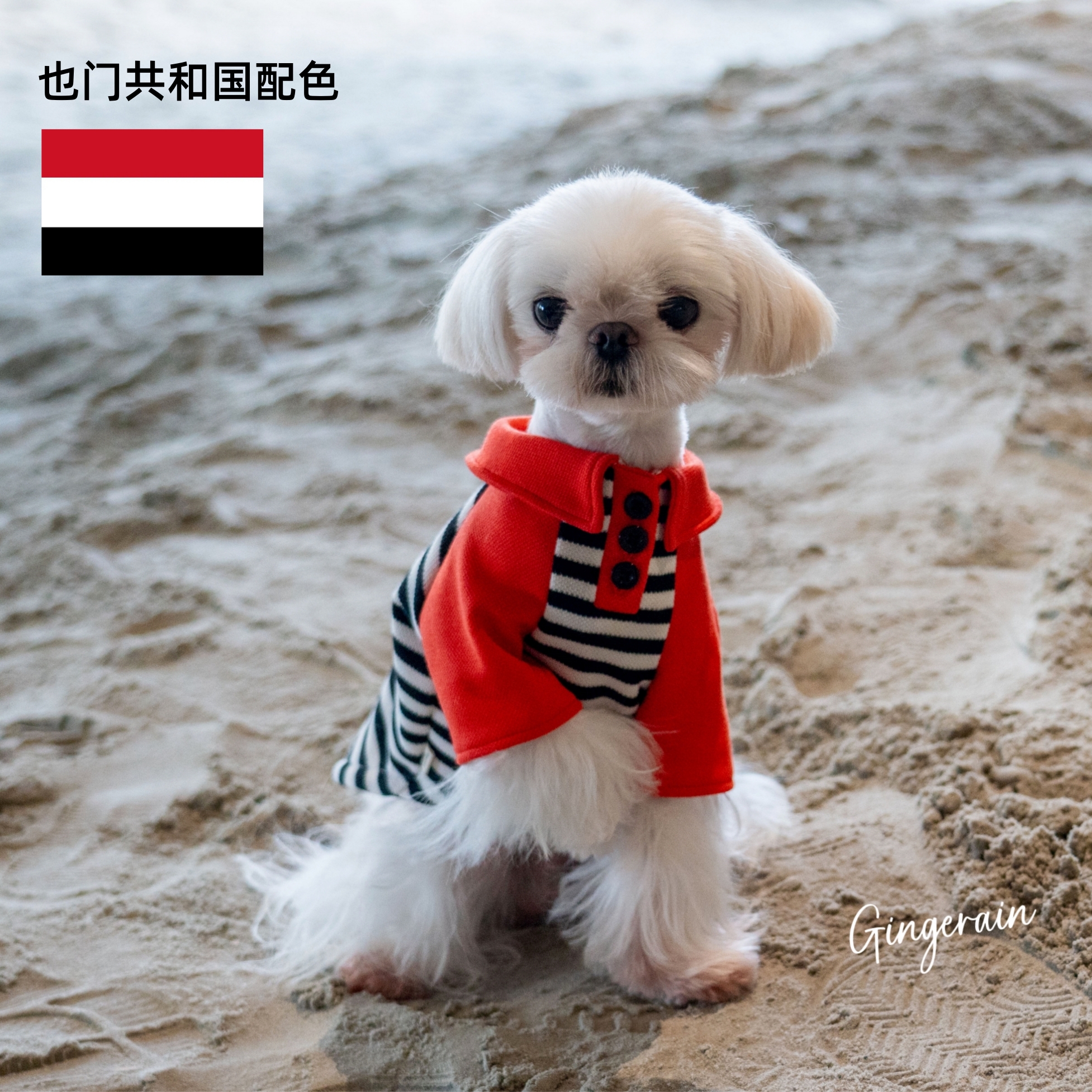 GINGERAIN 也门共和国配色POLO衫小型犬马尔济斯约克夏撞色卫衣