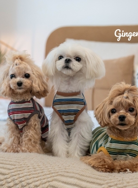 GINGERAIN 小型犬衣服泰迪马尔济斯马尔泰纯棉华夫格条纹背心