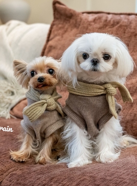 GINGERAIN 韩剧氛围感穿搭约克夏衣服马尔济斯保暖针织背心美拉德