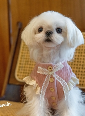 GINGERAIN 马尔济斯约克夏小型犬衣服外套加绒飞飞袖蕾丝系扣马甲