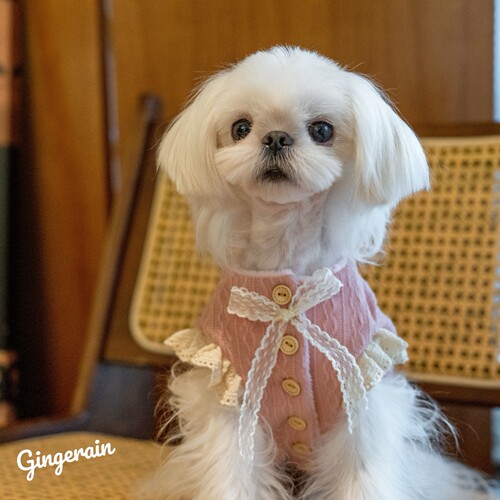 GINGERAIN 马尔济斯约克夏小型犬衣服外套加绒飞飞袖蕾丝系扣马甲