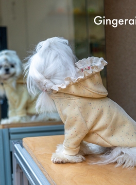 GINGERAIN 蛋黄点点连帽卫衣狗衣服约克夏小型犬马尔济斯保暖外套