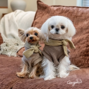 GINGERAIN 韩剧氛围感穿搭约克夏衣服马尔济斯保暖针织背心美拉德