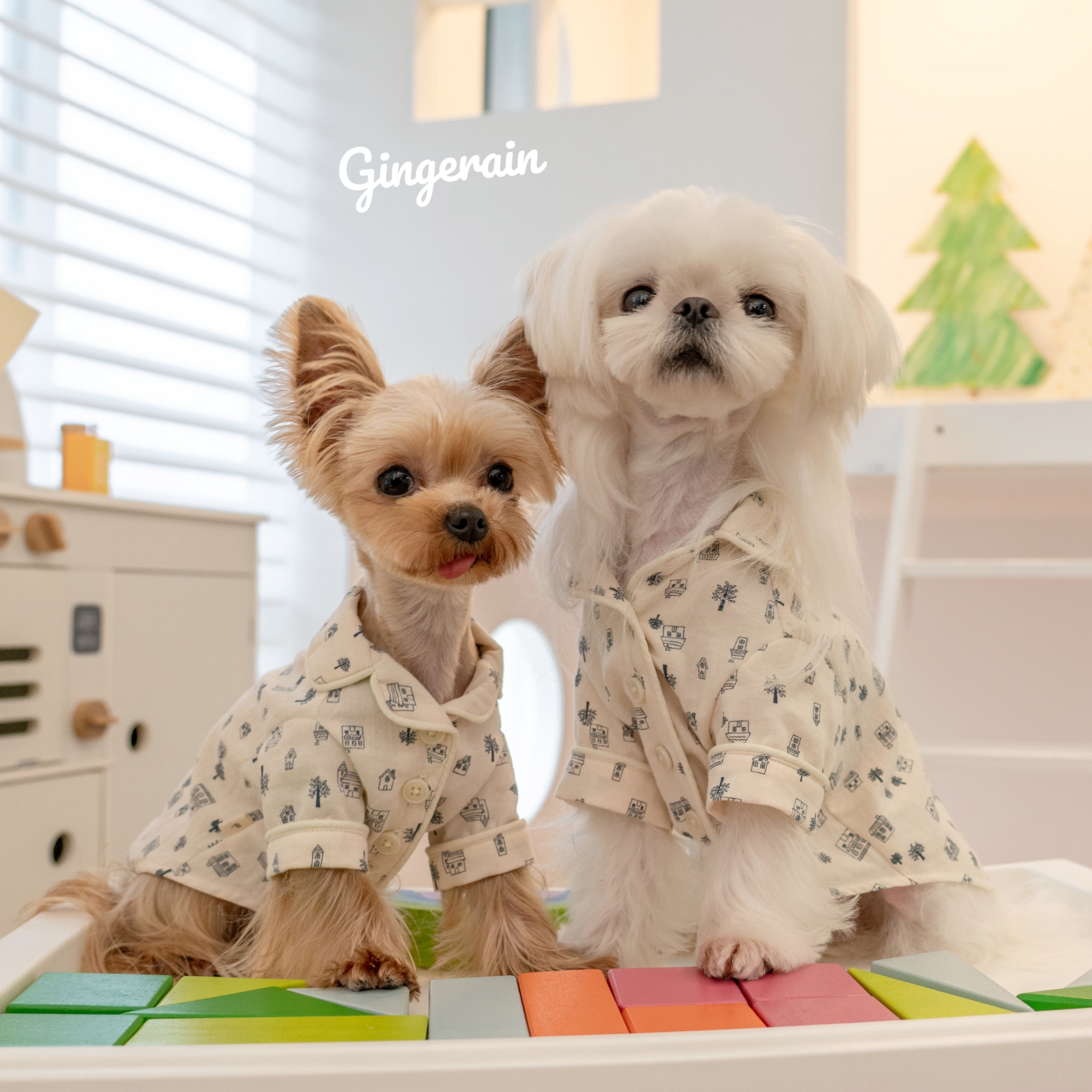 GINGERAIN 亲子装睡衣约克夏马尔济斯衣服小型犬纯棉薄款双领系扣