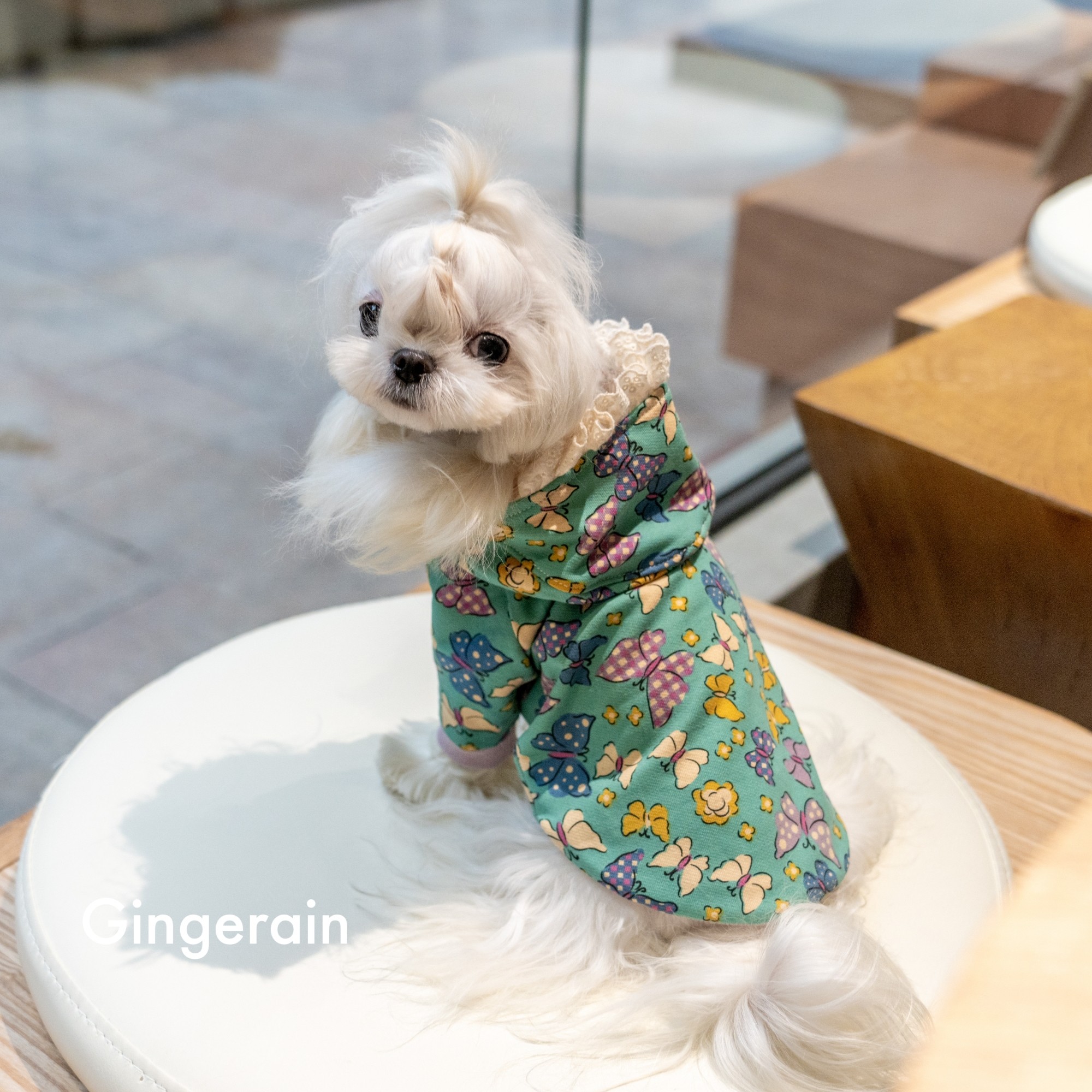 GINGERAIN 蝴蝶花连帽卫衣狗衣服约克夏小型犬马尔济斯保暖外套,宠物/宠物食品及用品,狗宠物服装/雨衣,淘宝优惠券,粉丝福利购,淘宝优惠卷