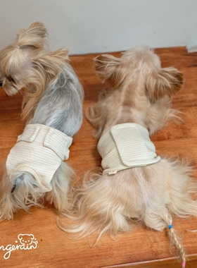 GINGERAIN 有机棉生理裤约克夏衣服马尔济斯小型犬姨妈巾月经尿裤