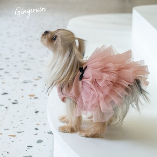 GINGERAIN 小型犬衣服比熊马尔济斯仙女抗皱拼接网纱蓬蓬蛋糕裙