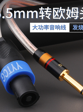 YYTCG 发烧级音响功放连接线 6.5转欧姆头音频线 舞台音箱线