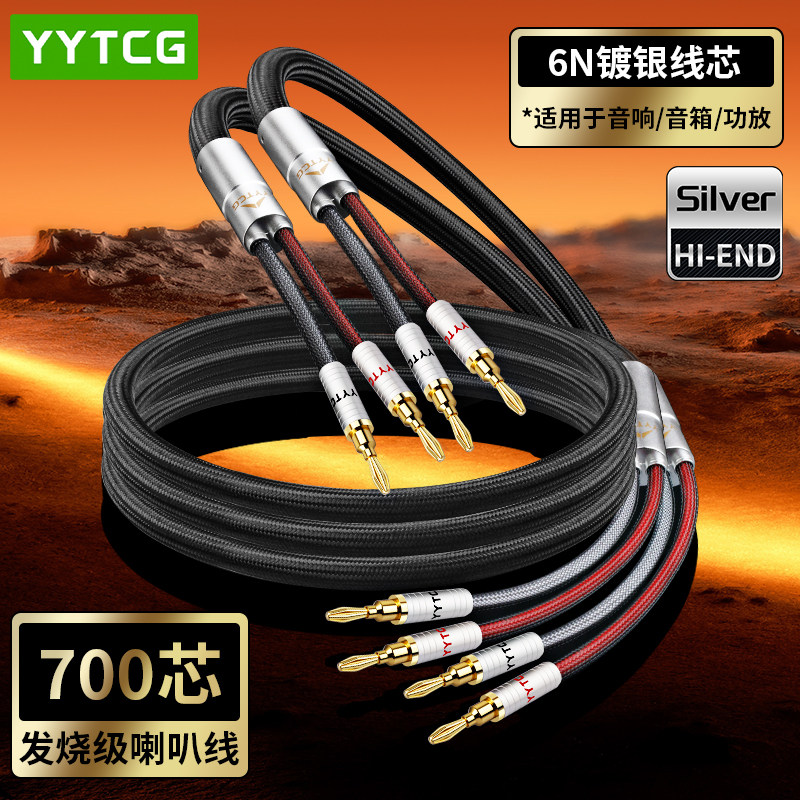 YYTCG发烧HIFI香蕉头专业喇叭线