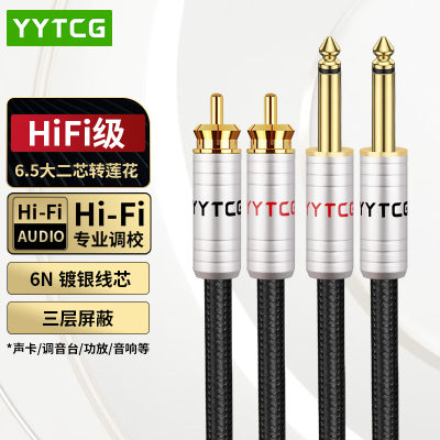 YYTCG双莲花转双6.5调音台音频线