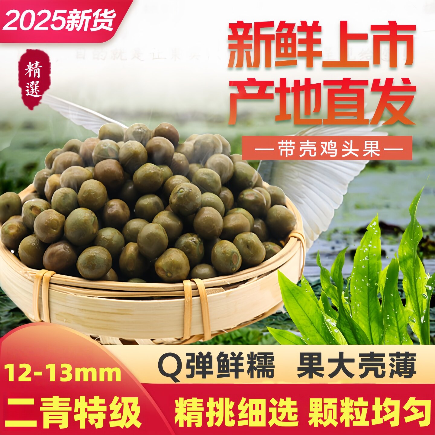 2025安徽天长龙岗特产鸡头果二青特级新鲜带壳野生芡实冰冻2500g