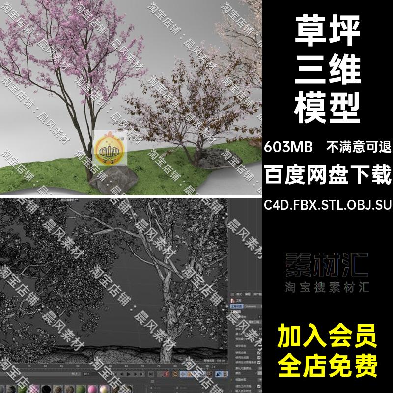 石头三维模型C4D.FBX.STL.OBJ.SU树木石块樱花树樱花树三维模型