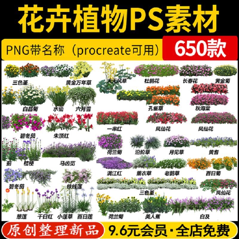 园林景观procreate花卉花镜花境地被植物PS效果图PSD免抠PNG素材