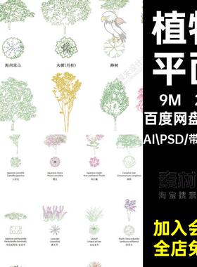 植物矢量彩色图2张psd风风平面PS素材psd矢量树景观Ai小线平彩