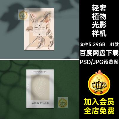 树叶植物光影样机背景41款元素PNG免影子轻图片扣奢PSD阴影花卉