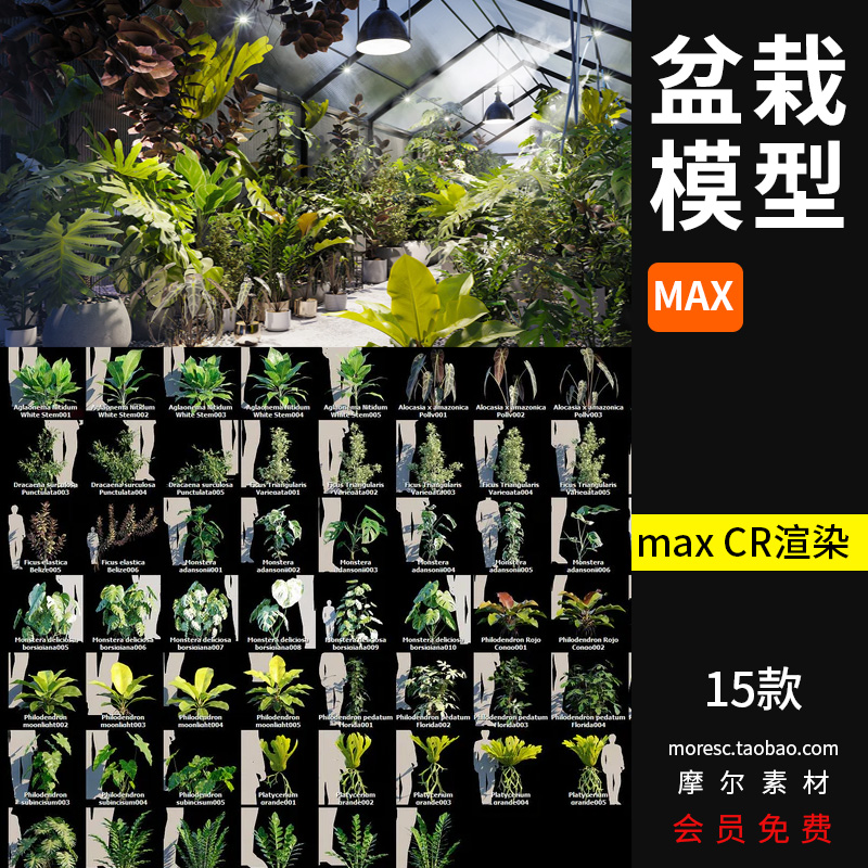 max格式盆栽绿植室内园林景观植物CR渲染模型素材工程文件