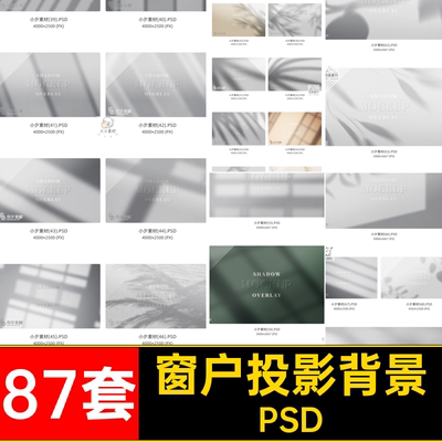 阴影光斑背景PSD后期植物叠加窗户自然效果真实光影光影叠加素材