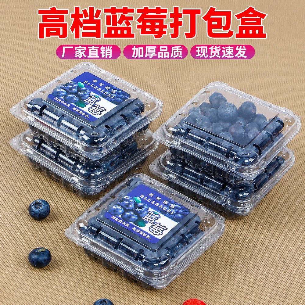一次性蓝莓125克盒透明桑葚盒树莓桑果盒食品级包装盒蓝莓盒装