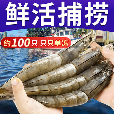 大品牌6斤超大虾王海捕大虾