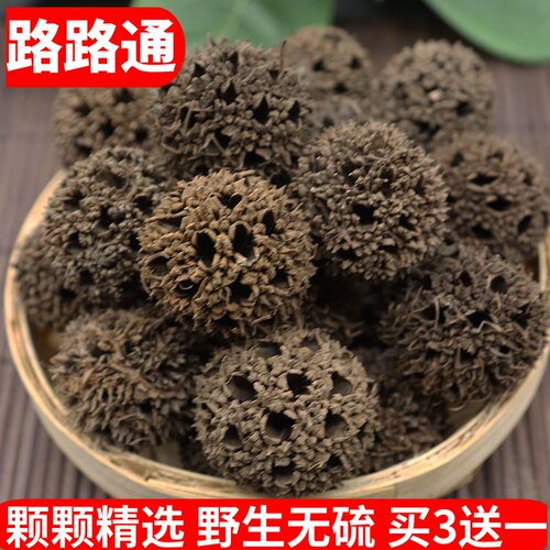 手工挑选枫树球野生路路通