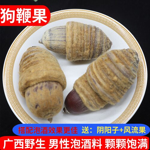 广西狗鞭果散装大果男性泡酒性