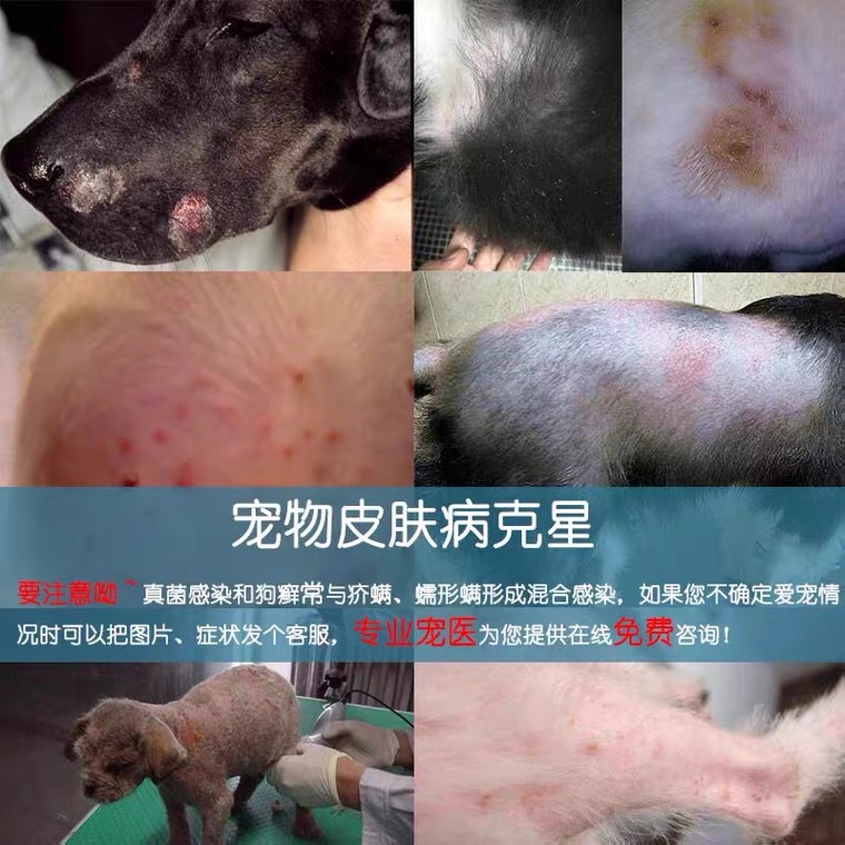 【淘宝推荐】猫咪狗狗皮肤病专用